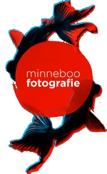 Minneboo Fotografie